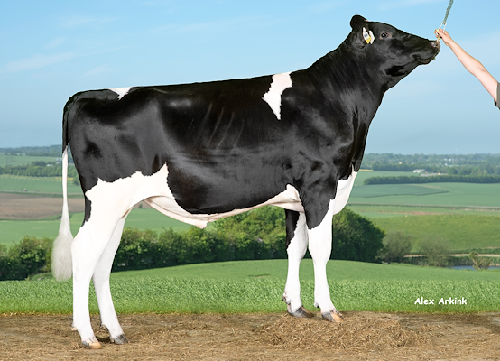 VH Hutney (VH Highway).jpg