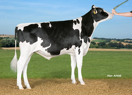 VH Kasi RC (Kanu P Red) no 257580.jpg