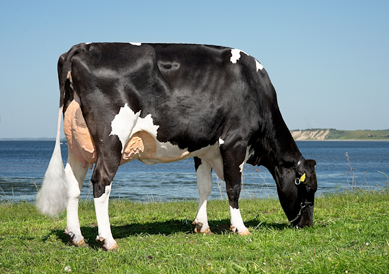 VH Kilmer datter fra Hans Olav Frederiksen, Møldrup