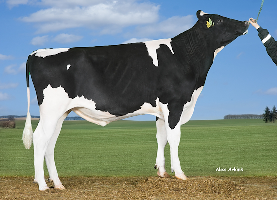 VH Kilmer (VH Kasi RC).jpg