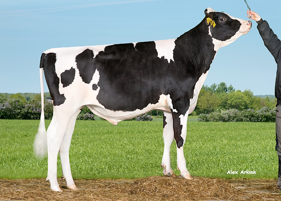 VH Kimi (VH Kilmer).jpg