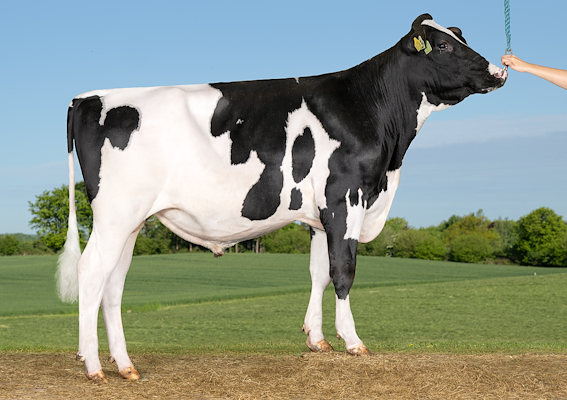 VH KometRC (VH KaratRC).jpg