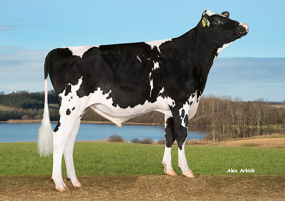 VH Lew PRC (Libero P).jpg