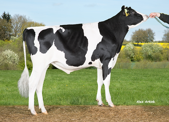 VH Lloyd (VH Lemek).jpg