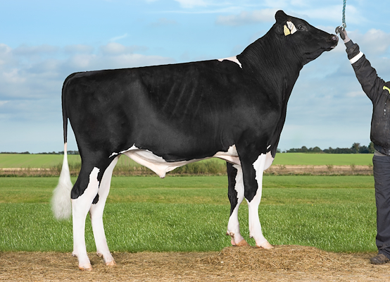 VH Lorenz (Louxor).jpg