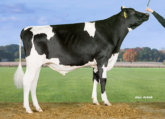 VH Loumar (VH Liftoff) 258655.jpg