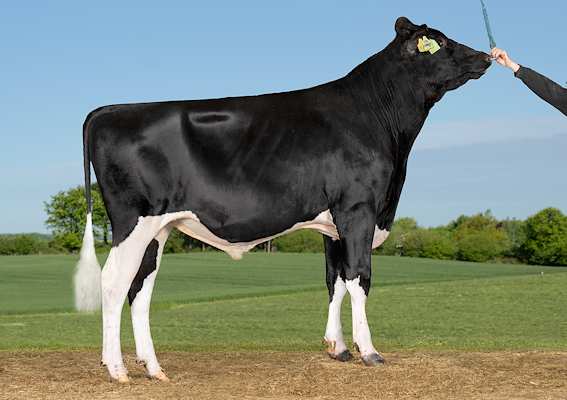 VH Ludwig (VH Latos P).jpg