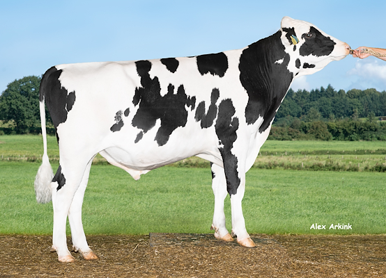 VH Lycke 5117 (VH Led).jpg