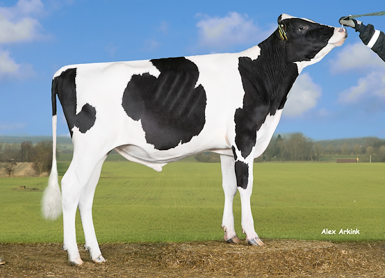 VH Macron (VH Master).jpg