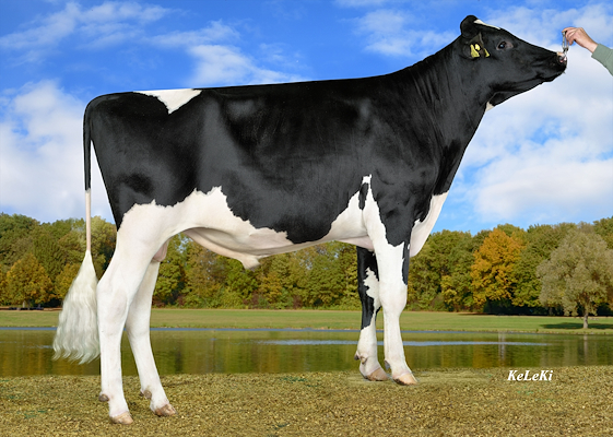 VH Mandy P 572943.jpg