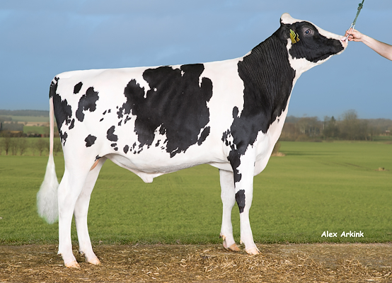 VH Mentor (VH Myles) 258814.jpg