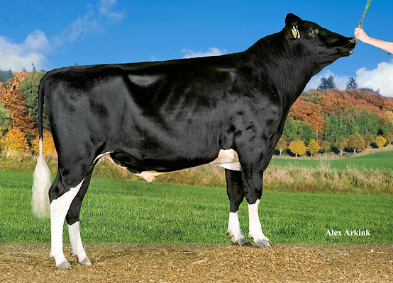 VH Merit (VH Meno) 256198.jpg