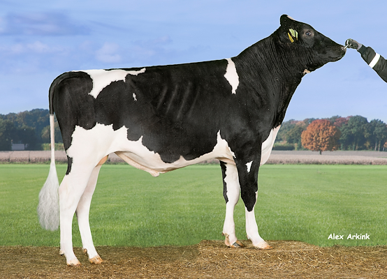 VH Moby (Missouri) 258775.jpg