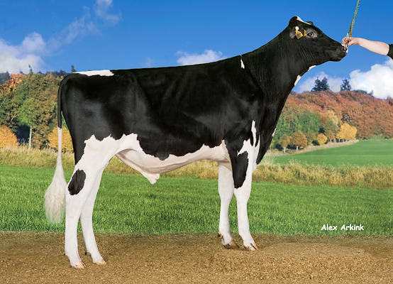 VH Mustang no 257361 (VH Mito).jpg