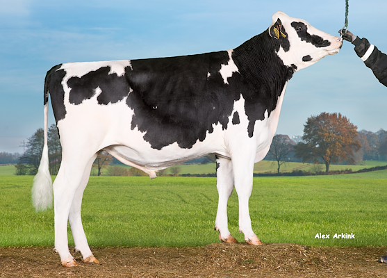 VH Nautica (VH Nordman).jpg