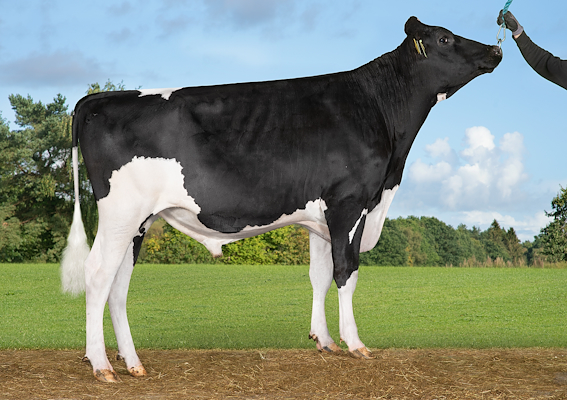 VH NaxosRC (VH Notch).jpg