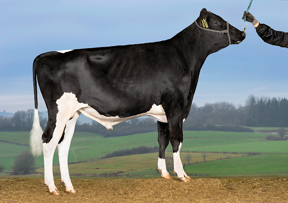 VH NoeyerP (VH Nigel P).jpg