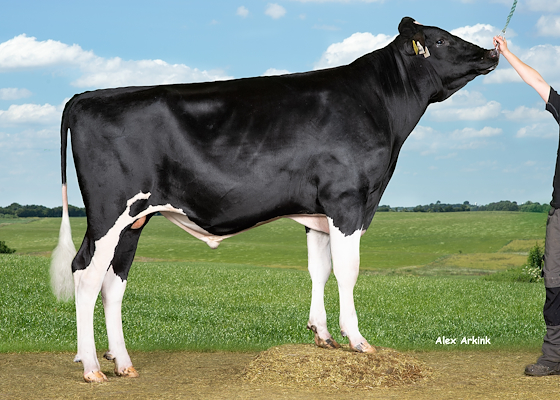 VH Noon (Norland).jpg