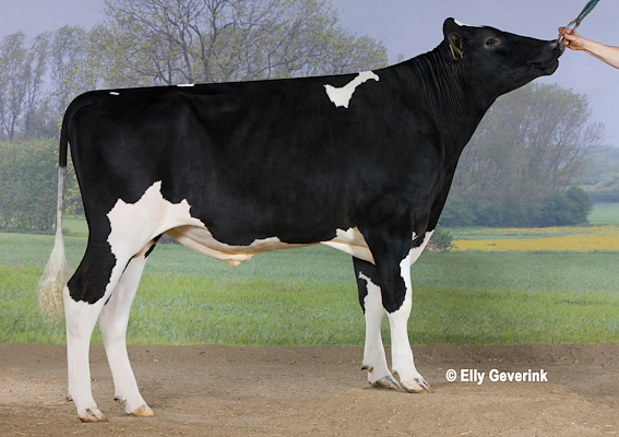 VH Odense no 255966 (VH Opell).jpg