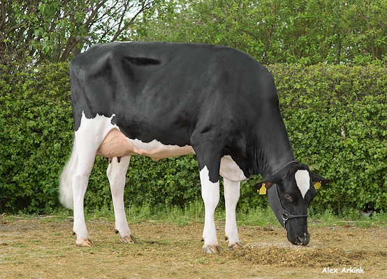 Mor til VH Okore fra Morten Hansen, Vraa