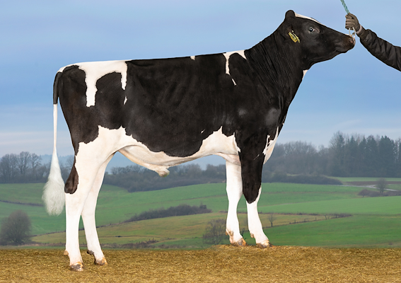 VH Onyx PRC (VH Olt PRC).jpg