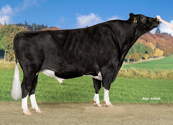 VH Osmus no 253548 (D Onside).jpg