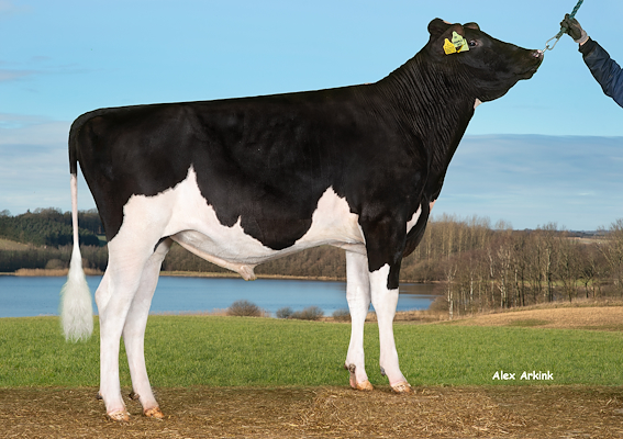 VH Oswald (Oldfield).jpg