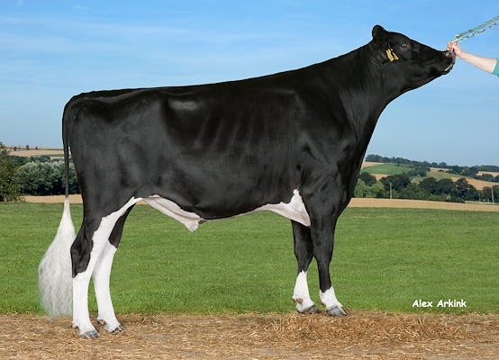 VH Oxalty (VH Oyvind) no 255777.jpg