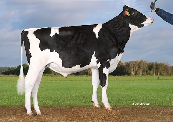 VH Peace (Peak Perry).jpg