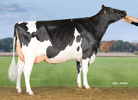 Mor til VH Pitney fra Allan Kjær Simonsen, Storvorde