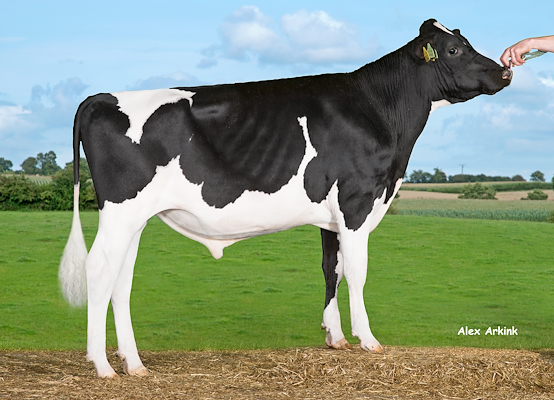 VH Pitney (VH Plato).jpg