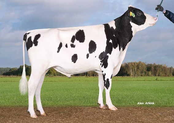 VH Rask P (Rainow).jpg