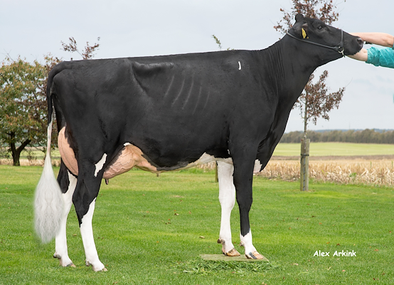 VH Ronaldo-datter fra Preben Gundersen, Aars