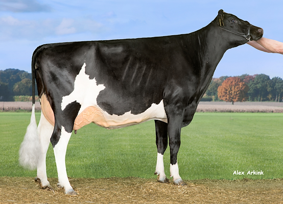 VH Ronaldo-datter fra Kærgaard I/S - Søren O. V. Kvist, Støvring