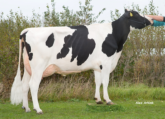 VH Ronaldo-datter fra Bo Skovbjerg Nielsen, Vrå