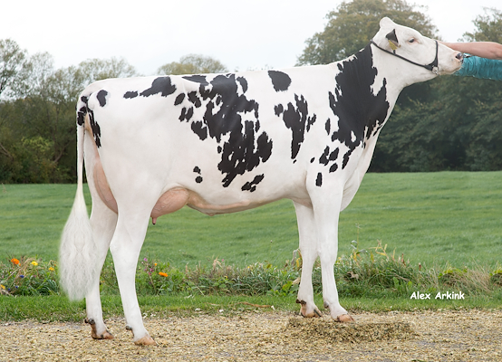 VH Ronaldo-datter fra I/S Kuhr, Rødkærsbro