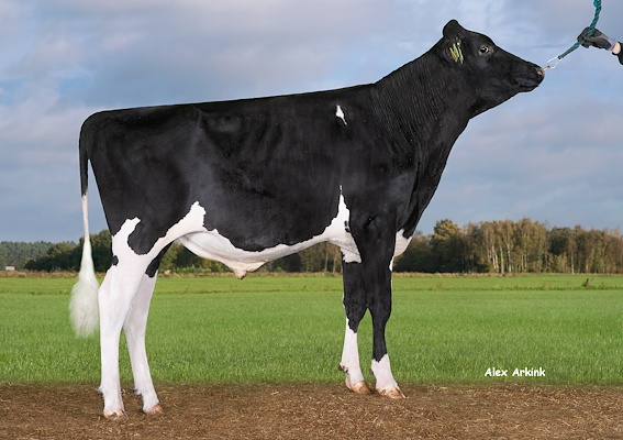 VH Rossi (Rosario).jpg