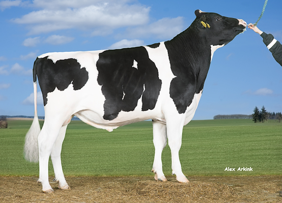 VH Roxy (VH Radium).jpg