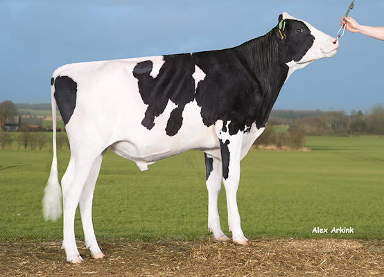 VH Ruler RC (Red Power) 258927.jpg