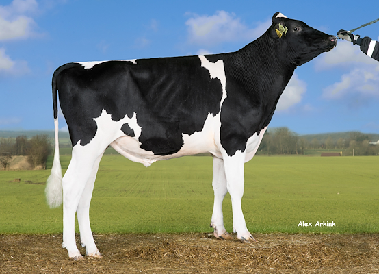 VH Rumble (VH Radium).jpg