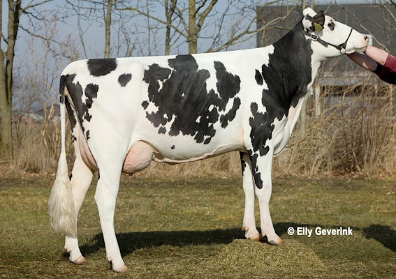 VH Salomon-datter fra Karl Erik Knudsen, Kjellerup