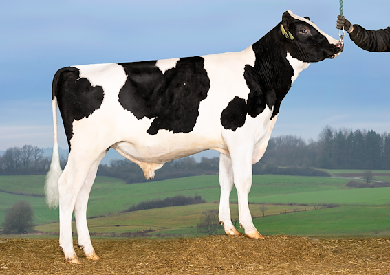 VH SamPPRC (VH SimsPRC).jpg