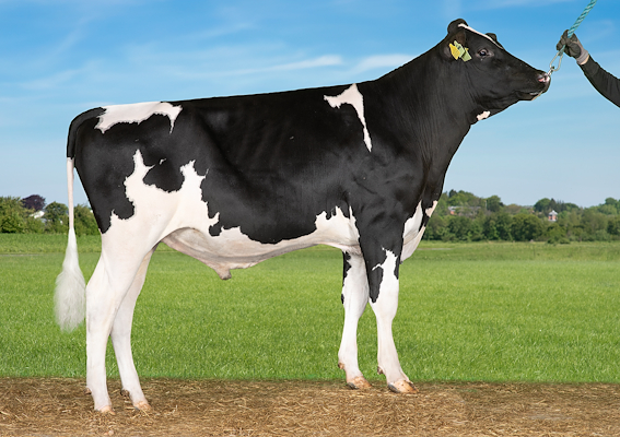 VH Sandels (Supporter).jpg