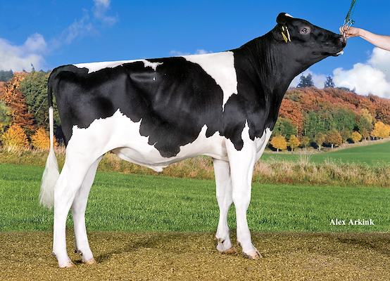 VH Saturn (Sterling) 257008.jpg