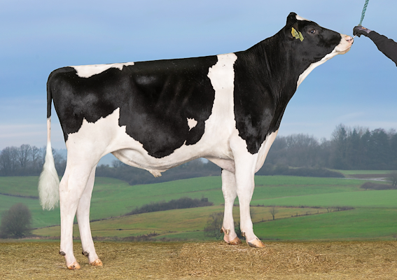 VH Savoy PP (VH Spook P).jpg