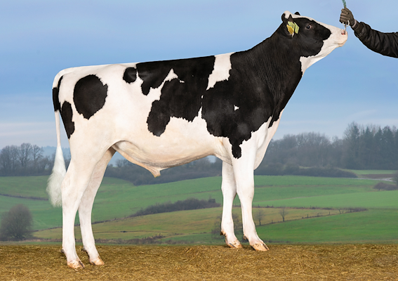 VH Shane RC (VH SimsPRC).jpg