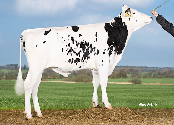 VH Sitton (VH Sixtus).jpg