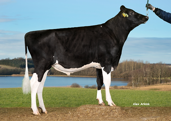 VH Slis RC (VH Swish).jpg