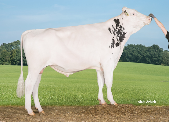 VH Soulrun (Supershot) 258170.jpg