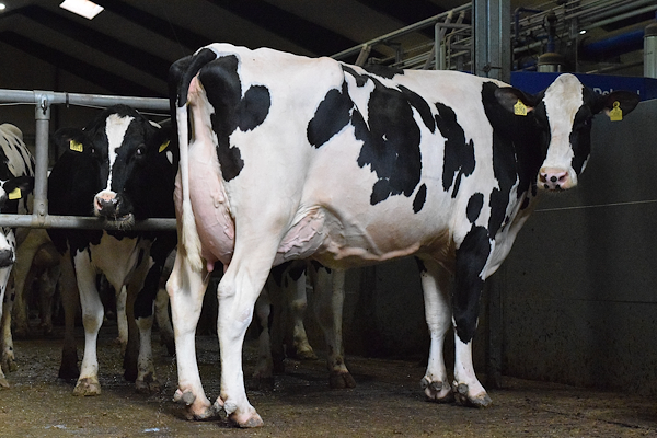 Mor til VH SonicPP fra Michael Jensen, Hammel